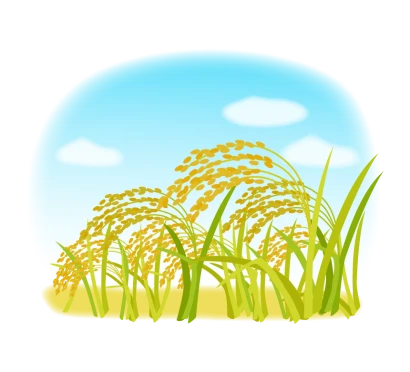 秋空と稲穂のイラスト