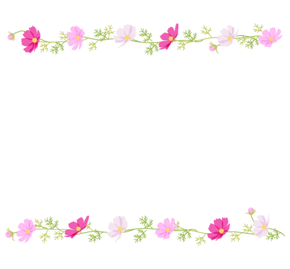 コスモス（秋桜）の上下フレーム・枠イラスト