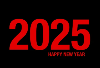 Happy New Year 2025（赤黒）のイラスト