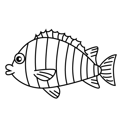 イシダイ（線画）のイラスト
