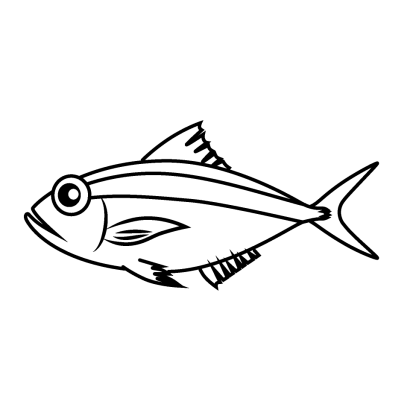 金目鯛（線画）のイラスト