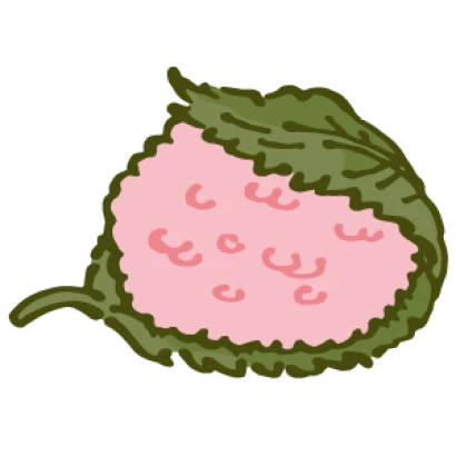 桜もち（道明寺タイプ）