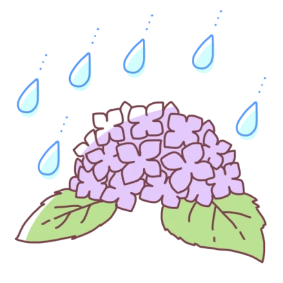 雨と紫陽花